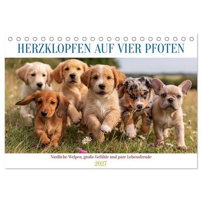 Herzklopfen auf vier Pfoden (Tischkalender 2027 DIN A5 quer), CALVENDO Monatskalender