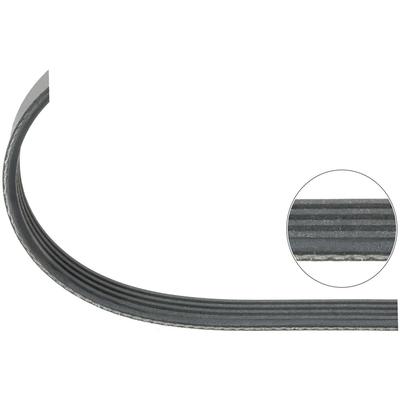 TOPRAN Keilrippenriemen 408862 für SMART