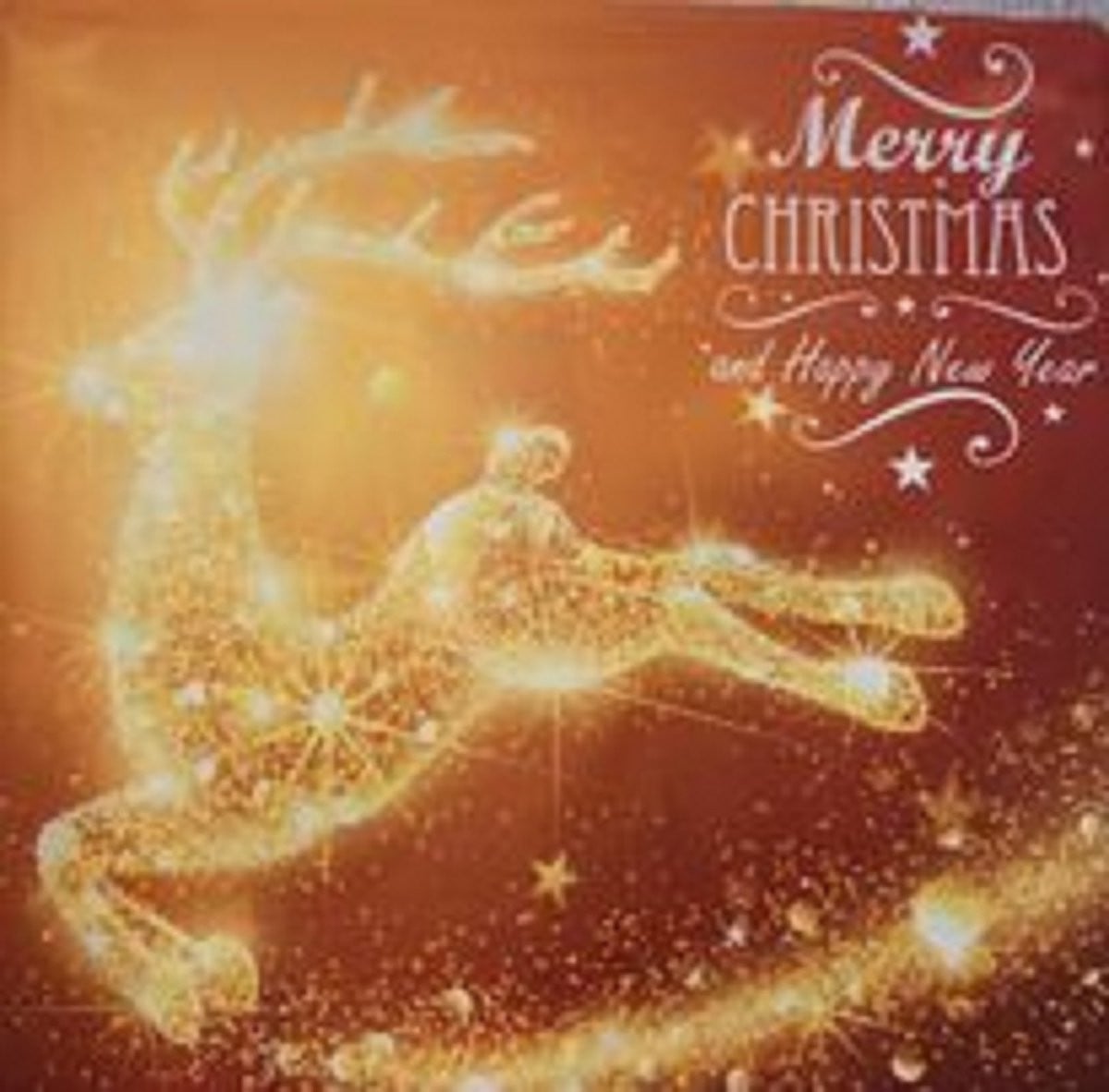 Kussenhoes Kerst Ree Merry Christmas