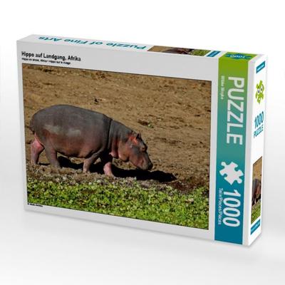 CALVENDO Puzzle Hippo auf Landgang, Afrika | 1000 Teile Lege-Größe 64x48cm Foto-Puzzle für glückliche Stunden