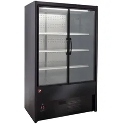 Wandkühlregal, Flügeltüren - SCHWARZ (DS15/B5-P9B)