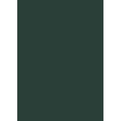 Ionnes Alexandrini. In Hippocratis De Natura Pueri Commentarium, Gebundene Ausgabe von Johannes Alexandrinus, De Gruyter, 978-3-05-003190-3