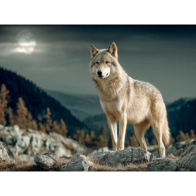 CALVENDO Puzzle Wolf im Mondlicht | 1000 Teile Lege-Größe 64x48cm Foto-Puzzle für glückliche Stunden