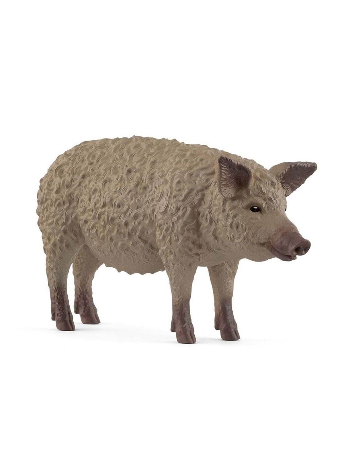 Schleich Mangalitza