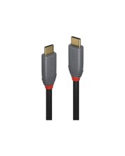 Lindy 1m USB 3.1 Typ C Kabel 5A PD Anthra Line (36901)