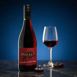 Virgen del Aguila 2023 Virgen del Aguila Jabali-Agoston Tempranillo-Cabernet Sauvignon 2023 Cabernet Sauvignon,Tempranillo Spanien