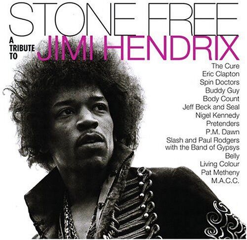 Various - Stone Free: A Tribute to Jimi Hendrix - Preis vom 12.10.2026 11:37:12 h