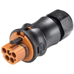Wieland Steckverbinder Stecker 96.052.4051.4