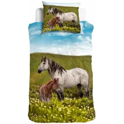 Traumschlaf Bettwäsche Pferde 135x200 cm + 80x80 cm - bunt