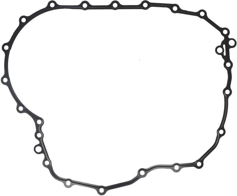 Zf Guarnizione, cambio automatico 0501 330 398