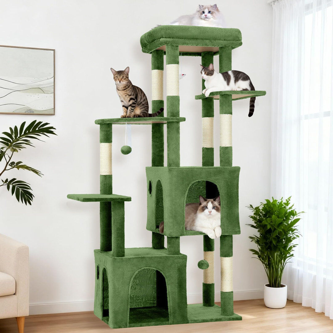 17 Stories 156 cm H Cat Tree / Condo Green 156cm H X 72cm W X 45cm D