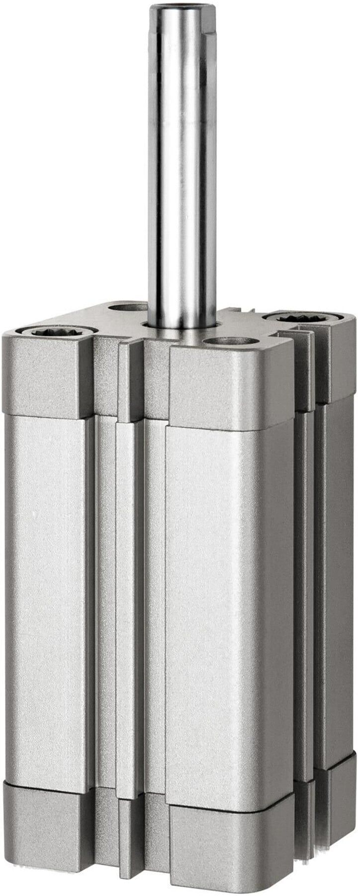 Riegler Kompaktzyl., einfachwirkend, IG, ausgefür, Ã˜20, Hub5, M5, ISO21287 (15.AMI.20005)