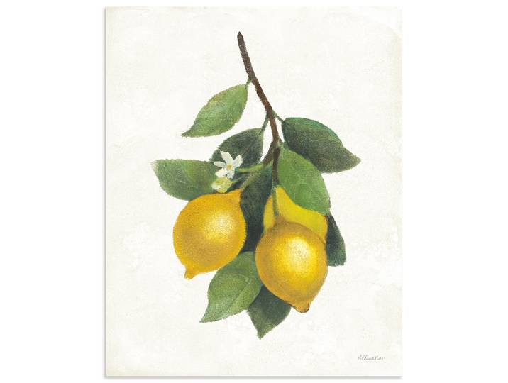 Artland Lemon Branch III Pflanzenbilder 1 Stk. tlg. als Alubild, Leinwandbild, Poster, Wandaufkleber in verschied. Grössen