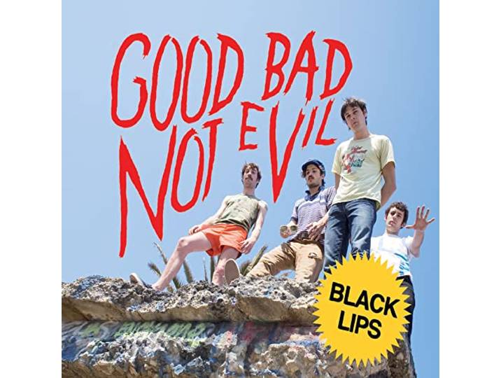 Good Bad Not Evil (Deluxe Edition)