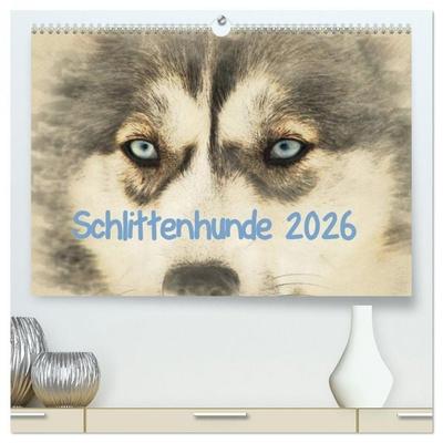 Schlittenhunde 2026 (hochwertiger Premium Wandkalender 2026 DIN A2 quer), Kunstdruck in Hochglanz