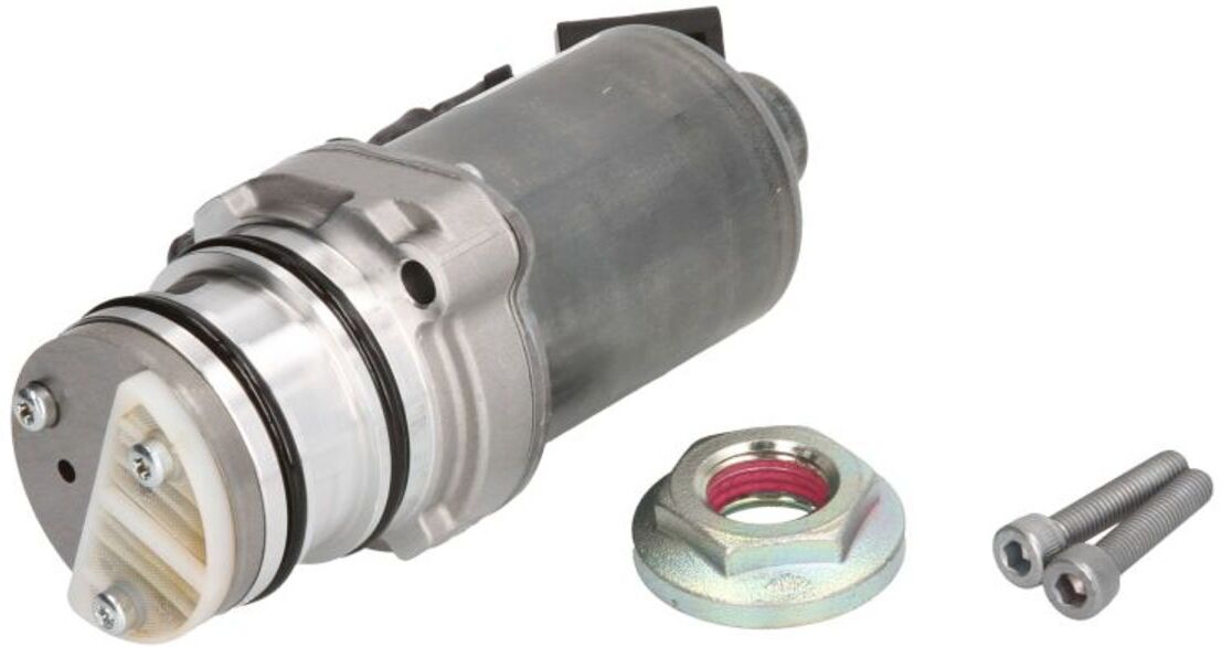 Öldruckpumpe BORG WARNER BW119863