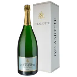 Magnum - Champagner Delamotte - Mit Etui