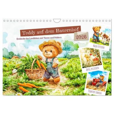 Teddy auf dem Bauernhof - Entdecke das Landleben mit Tieren und Feldern (Wandkalender 2026 DIN A4 quer), CALVENDO Monatskalender