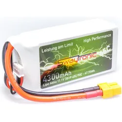 Swaytronic High Performance (4300 mAh, 11.40 V)