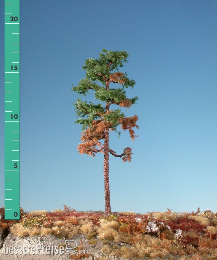 Silhouette 270-26
