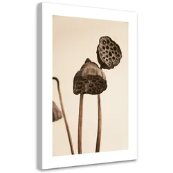 WANDBILD getrocknete lotosblumen