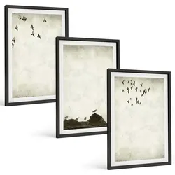 BILDER SET 3er Set - 40x60 cm Schwarzer Rahmen - Fliegende Vögel Minimalismus