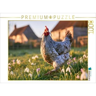 CALVENDO Puzzle Araucana, Frühlingsluft im Federkleid | 1000 Teile Lege-Größe 64 × 48 cm Foto-Puzzle für glückliche Stunden, von , Calvendo Puzzle