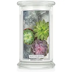 Succulents 623g