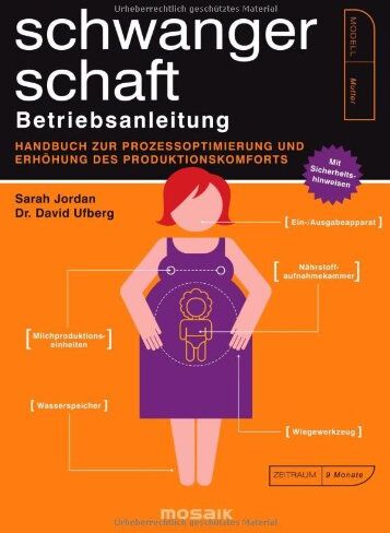 Sarah Jordan - Schwangerschaft - Betriebsanleitung: Handbuch zur Prozessoptimierung und Erhöhung des Produktkomforts - Mit Sicherheitshinweisen - Preis vom 18.10.2026 15:28:09 h