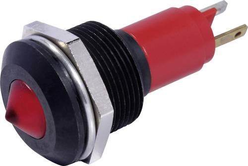 CML Innovative Technologies 19721355 LED-Signalleuchte Grün 24 V/DC, 24 V/AC