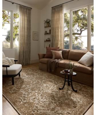 Alexander Home Paxen Traditional Area Rug