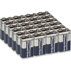 24x Panasonic Powerline 6LR61 9V Block Batterie - passend für Gewerbe, Service & Rauchmelder