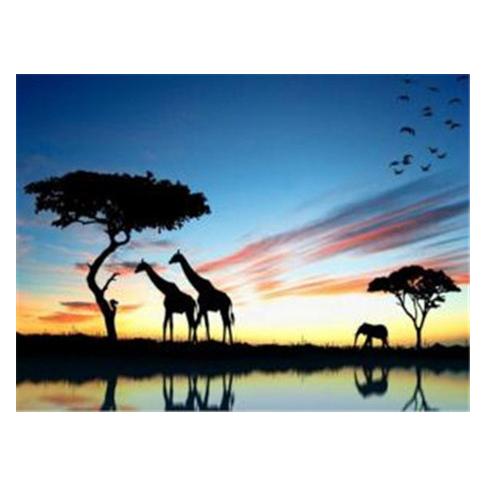 Pracht Diamond Painting Afrika 33 x 44 cm (6037-50161)