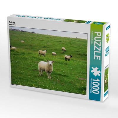 CALVENDO Puzzle Schafe | 1000 Teile Lege-Größe 64x48cm Foto-Puzzle für glückliche Stunden