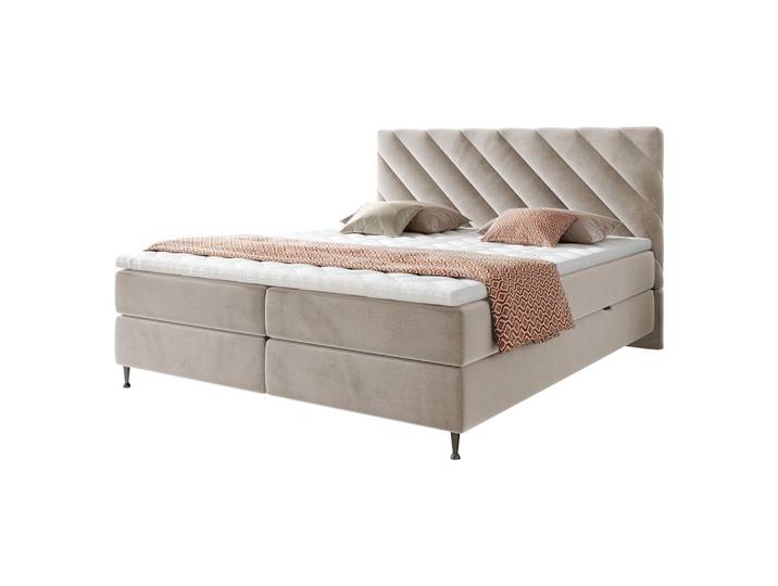 BOXBETT Enzo - H3