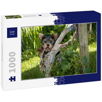 Lais Puzzle Yorkshire Terrier 1000 Teile