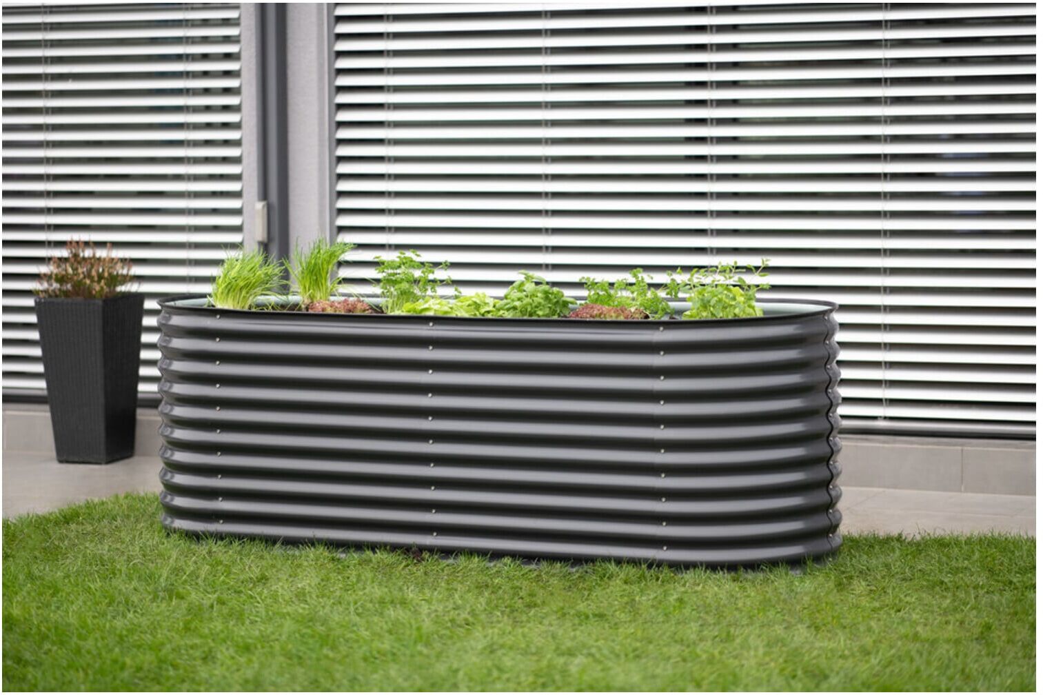 Westmann Hochbeet Grow Faster 80 x 240 x 82 cm ; 50NRTH GmbH (ISPB170H-A)