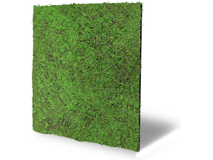 Wandpaneel ARCHITECTS PAPER A.S. Création Modular Wall Wandpaneel Pflanzenoptik Natur , grün (waldgrün, grün), B/L: 52cm x 52cm, Kunststoff, Textil, Paneele, Wandpaneel, Natur- und Kunstfasern auf rPET-Filz für botanische 3D-Wände