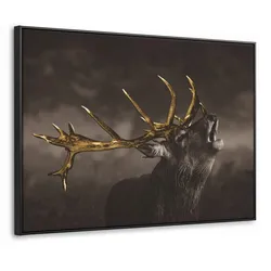 LEINWAND Bilder mit Rahmen - Rotwild - Schwarz - Gold - 80x60