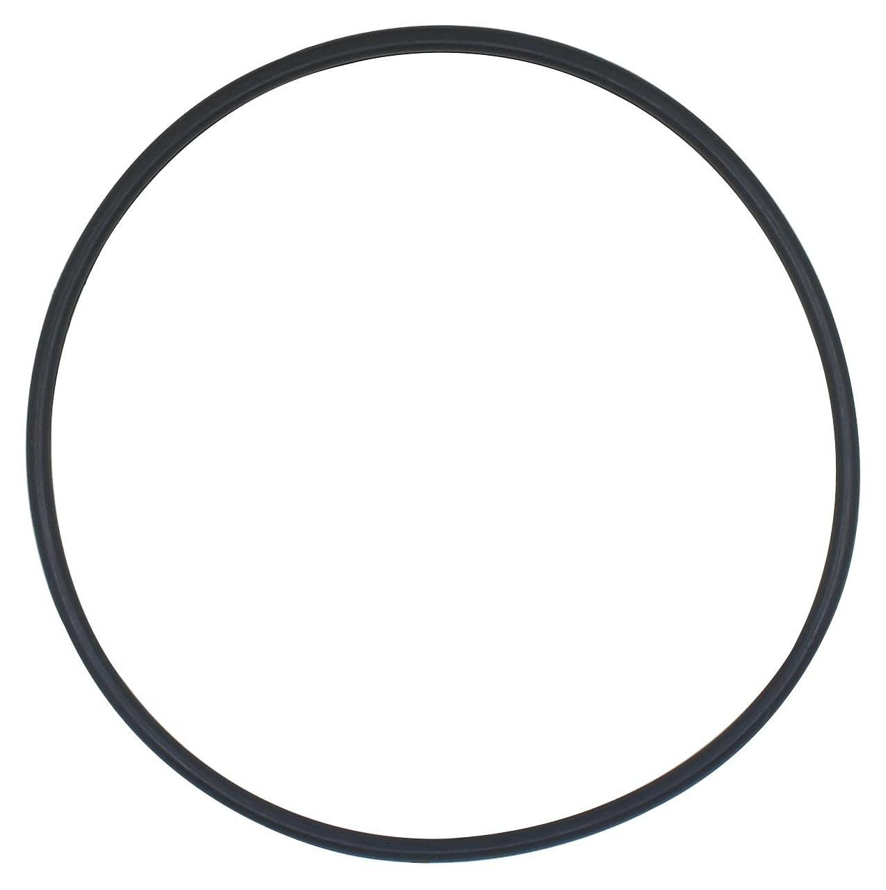 O-Ring Filterpakking voor Zwembadfilterpomp