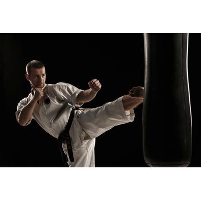 Fototapete PAPERMOON "Karate", bunt, B:5m L:2,8m, Vlies, Tapeten