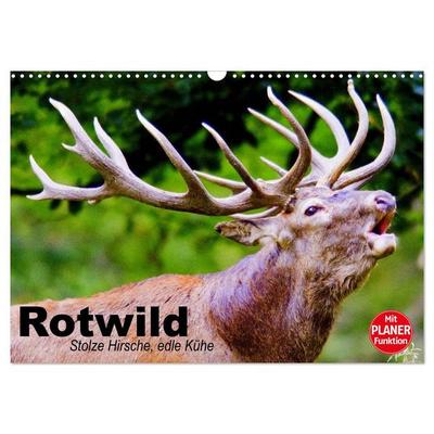 Rotwild. Edle Hirsche, stolze Kühe (Wandkalender 2026 DIN A3 quer), CALVENDO Monatskalender