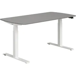 Schreibtisch PAIDI E-LION (BHT 150x62x75 cm) - BHT 150x62x75 cm