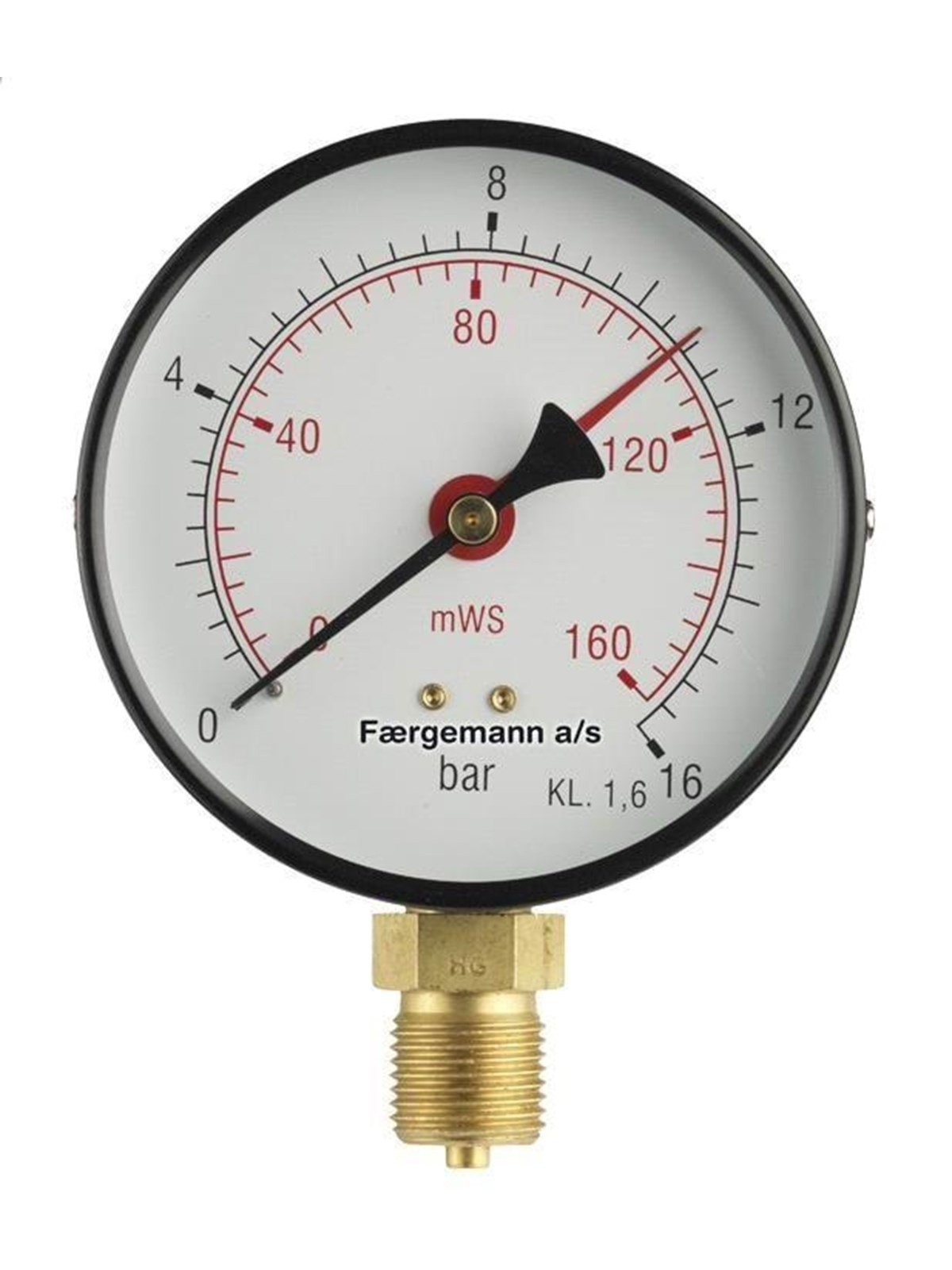 Erik Færgemann [481104084]