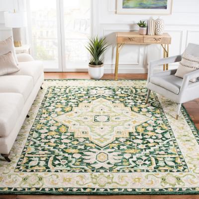 SAFAVIEH Handmade Aspen Constance Boho Wool Rug