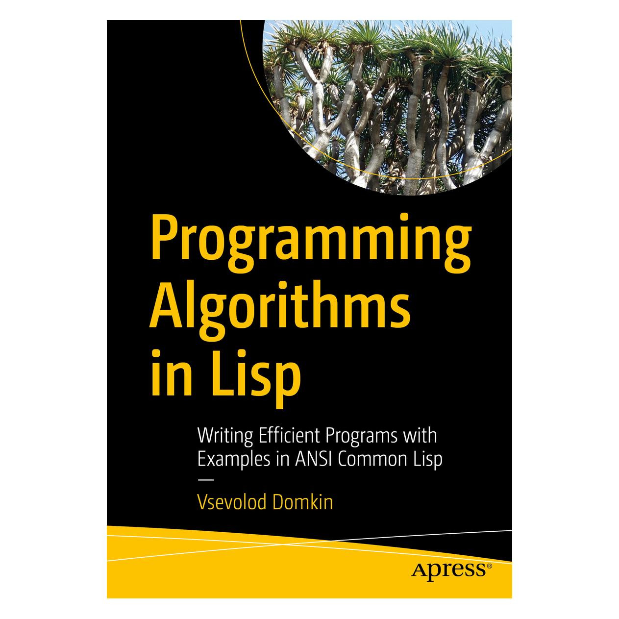 Springer Programming Algorithms in Lisp (Englisch, Softcover, Vsevolod Domkin) (46921886)