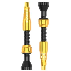 LEZYNE Tubeless Ventil CNC Pro TLR Paar | gold