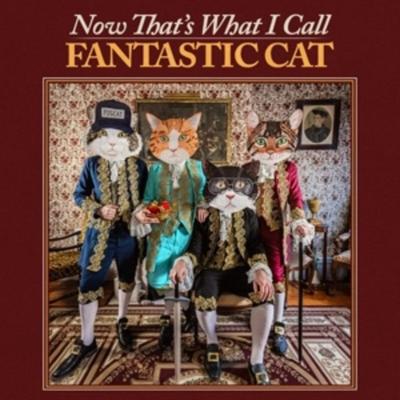 Now Thats What I Call Fantastic Cat - Fantastic Cat, Vinyl
