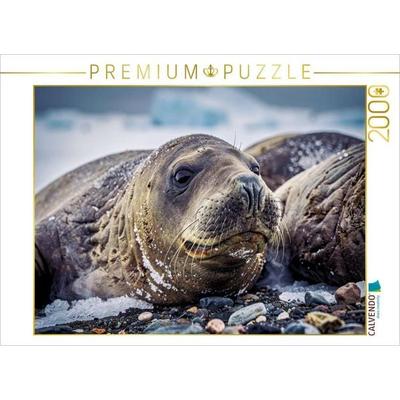CALVENDO Puzzle Dickhäutig? Ja. Dickköpfig? Niemals. | 2000 Teile Lege-Größe 90 × 67 cm Foto-Puzzle für glückliche Stunden, von , Calvendo Puzzle