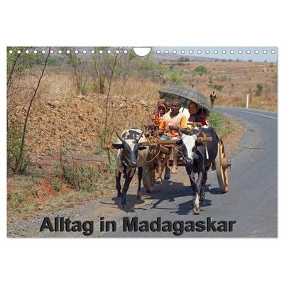 Alltag in Madagaskar (Wandkalender 2027 DIN A4 quer), CALVENDO Monatskalender